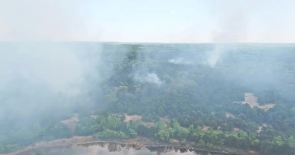 空中からの眺め森の中の火の木から煙が出る — ストック動画