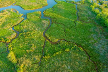 Mavi nehirlerin doğa üzerindeki birleşiminin antensel örtüsü.