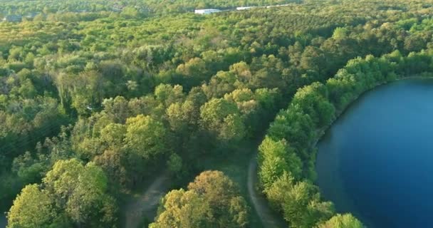 Beau paysage naturel printanier avec un lac entre forêt verte — Video