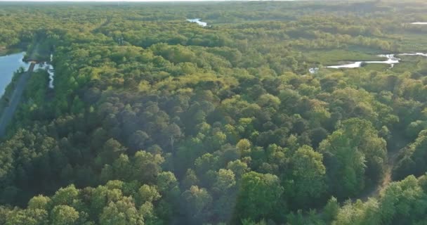 Vista panorámica de un bosque verde entre el agua del lago de color turquesa — Vídeo de stock