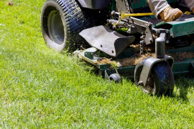 Çim biçme makinesinde çim biçme makinesi işçisi. Çimleri biçiyor.