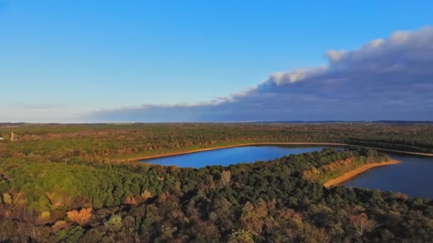 Drömmig soluppgång uppe i höstskogen färgglad dimma mellan träden på över dammen — Stockvideo