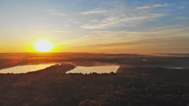 Höstskog levande morgon i färgglad skog med solstrålar på naturens landskap med solljus — Stockvideo