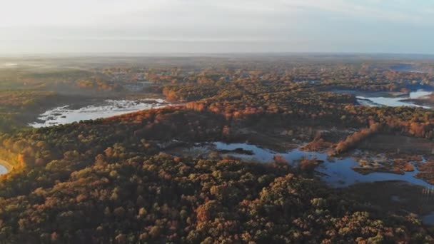 Les na podzim z výšky krásné panorama východu slunce, ranní mlha krajiny — Stock video