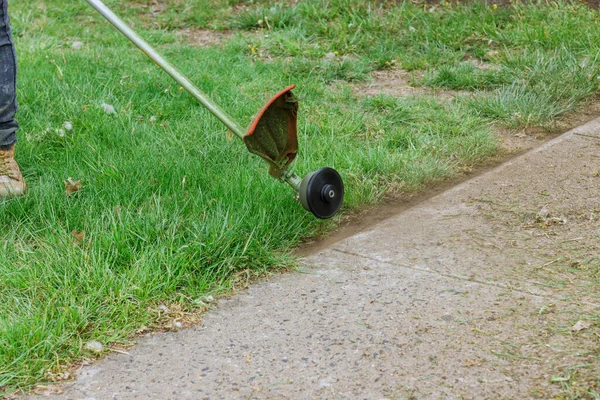 Tuinman Maait Het Gras Met Een Grasmaaier Zonnige Dag — Stockfoto