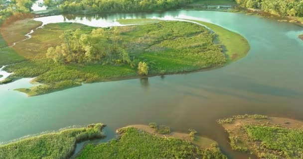 Vista aérea dos rios na paisagem das florestas — Vídeo de Stock