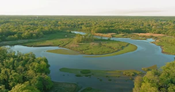 Flygfoto över en grön skogsflod på sommaren — Stockvideo