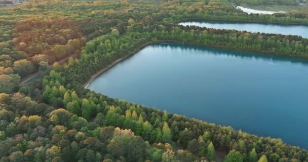 Vacker vår natur landskap med en sjö mellan grön skog — Stockvideo