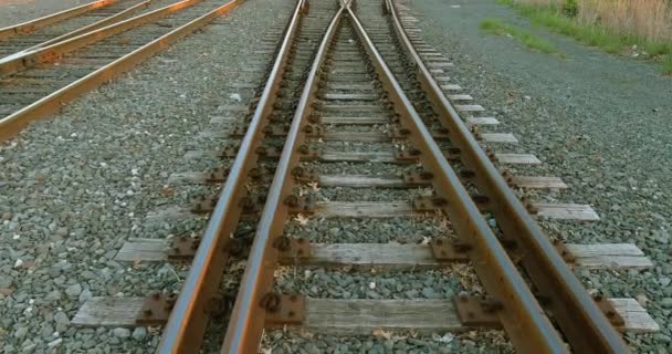 サンプ内の列車や客車の鉄道駅の空中写真. — ストック動画