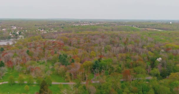 Horní pohled na park v rekreační oblasti krásný výhled na zelený les — Stock video