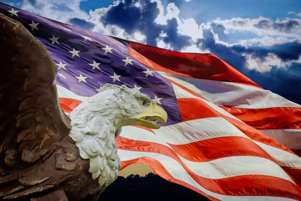 Американський Лисий Орел Американському Прапорі Патріотичним Символом — стокове фото