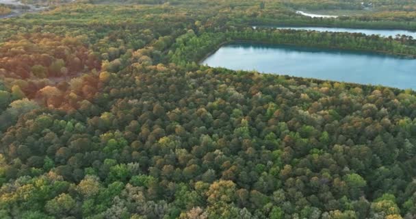 Krajina panorama, modrá voda v lesním jezeře se stromy — Stock video