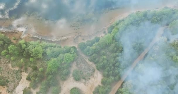 Incendios forestales quemaron árboles después de incendios forestales, contaminación mucho humo — Vídeos de Stock