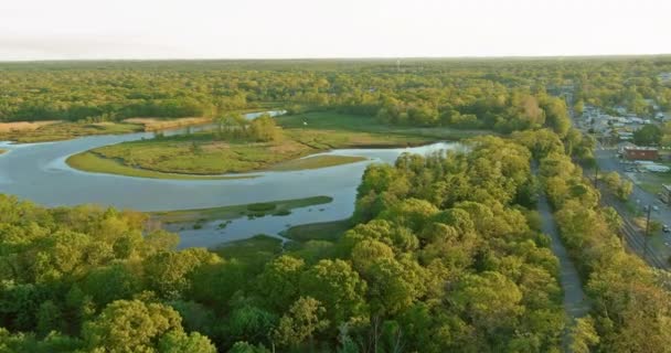 Aerial view of river and forest, on nature landscape mixed forest — Video