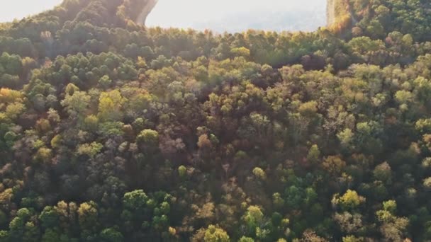 Krásné teplé barvy podzimní ráno u lesního jezera s mlhou — Stock video