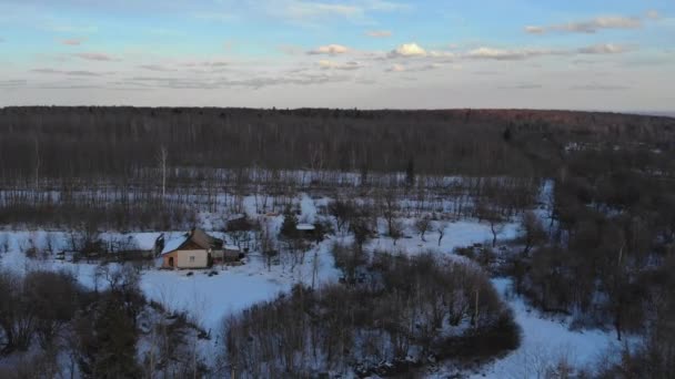 Magico paesaggio invernale foresta alberi coperto tramonto neve nel periodo invernale — Video Stock