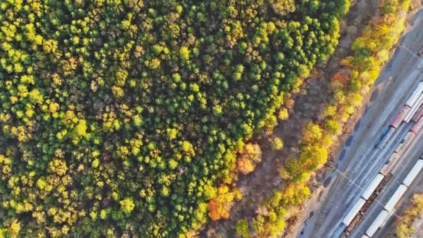 Luftaufnahme des Waldes im Herbst aus der Höhe ein schönes Panorama in der Nähe von Bahnsteiggleisen — Stockvideo