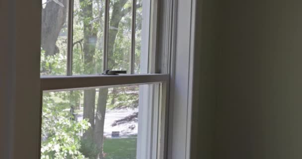 Haussanierung im Heimwerker streicht mit Pinsel einen Fensterrahmen — Stockvideo