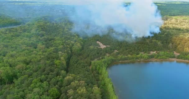 Vista aérea uma fumaça vinda de uma árvore em chamas na floresta perto da lagoa — Vídeo de Stock