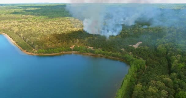 Uitzicht vanuit de lucht op rook in het bos brandende bomen in de buurt van vijver — Stockvideo
