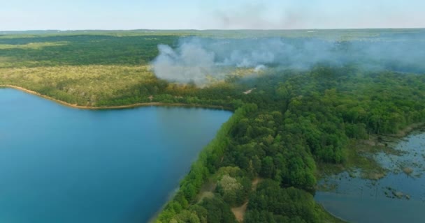 山火事による大きな煙が湖の近くで木の枯れ木を燃やしている — ストック動画