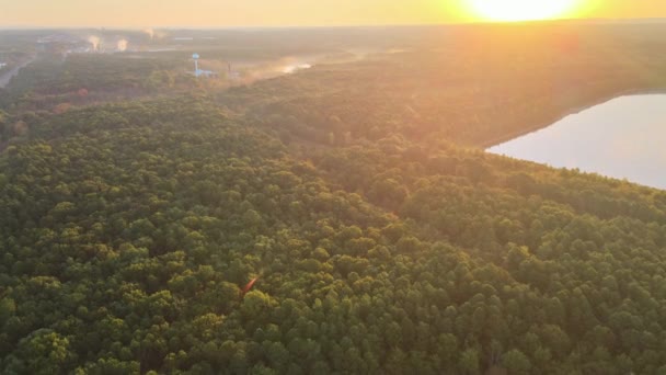 Jezioro lotnicze w lataniu dronem nad jeziorem w zielonym lesie — Wideo stockowe