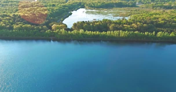晴れた夏の森のパノラマの池の空中ビュー — ストック動画