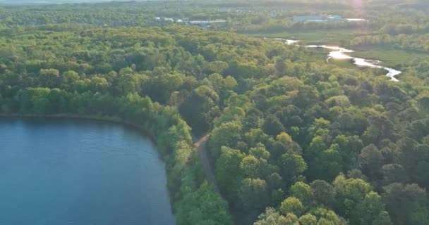 Widok z powietrza na błękitne piękne jezioro w zielonych lasach w słoneczny dzień — Wideo stockowe