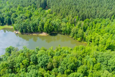 Güney Carolina, Campobello 'daki yeşil yaz ormanı arasında mavi göl dağının panoramik görüntüsü