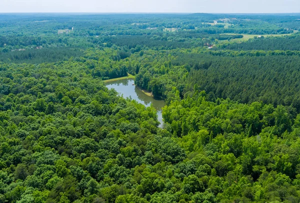 Vista Aérea Bosque Lago Agua Verano Naturaleza Entre Montañas Campobello —  Fotos de Stock