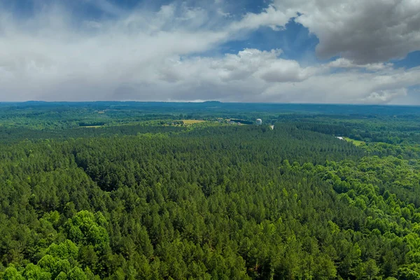 Vista Panorámica Aérea Sobre Bosque Verde Naturaleza Verano Entre Las —  Fotos de Stock