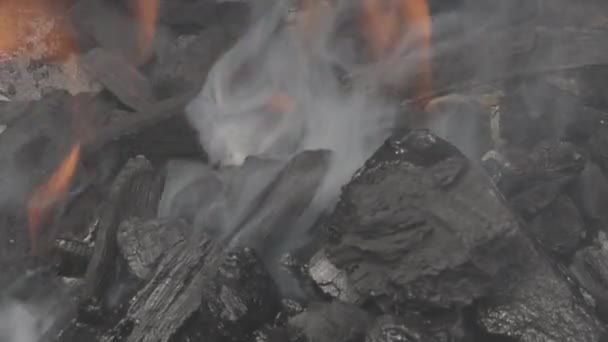 Holzkohle für den Grill, glühende Kohlen in Asche — Stockvideo
