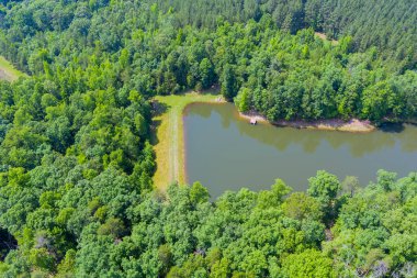 Güney Carolina, Campobello 'daki yeşil yaz ormanı arasında mavi göl dağının panoramik görüntüsü