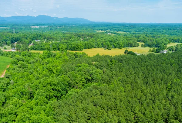 Vista Aérea Los Exuberantes Árboles Verdes Del Bosque Desde Las —  Fotos de Stock