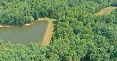 Güney Carolina, Campobello 'daki yeşil yaz ormanı arasındaki mavi göl manzarası.