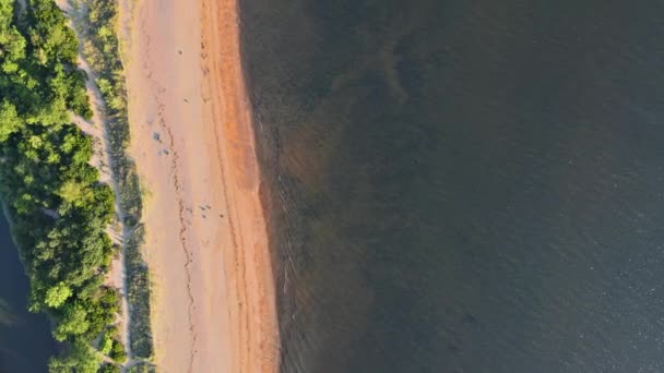 Veduta aerea di bellissimo paesaggio urbano piccolo paesaggio costiero sull'acqua in giorno d'estate — Video Stock