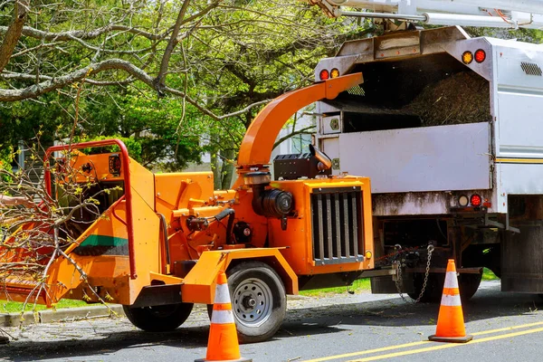 Wood Chipper Tree Branches Loaded Cut Green Tree Branches Urban — Stock Photo, Image