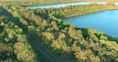 Manzara manzarası, ağaçlı bir orman gölündeki mavi su.