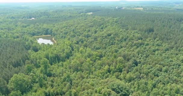 Пейзажна панорама, водний ставок в лісовому озері з деревами — стокове відео