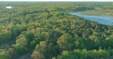 Ormanda gölün üstünde bulutlar olan güzel bir manzara.