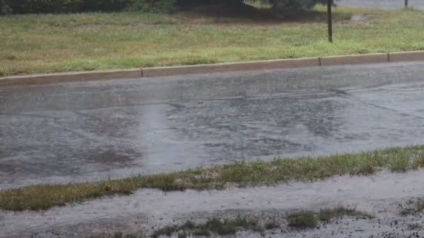 Lluvia fuerte cayendo sobre un camino de asfalto en verano tormenta — Vídeo de stock