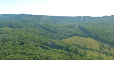 Yeşil orman dağları ile Pocono manzarası Pennsylvania USA