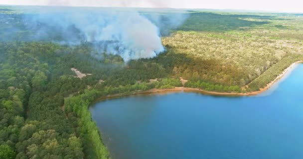 森林里的篝火熊熊燃烧，树木被烧毁，池塘边的烟雾弥漫 — 图库视频影像