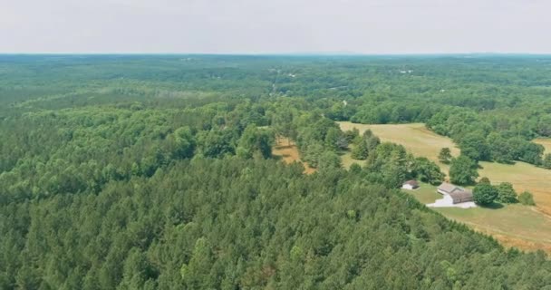 Vista aérea sobre a floresta verde na hora de verão com bom tempo por montanhas em Campobello, Carolina do Sul — Vídeo de Stock