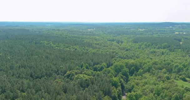 Vzduch na zelené lesy pohled v létě s dobrým počasím v horách ve městě Campobello, Jižní Karolína — Stock video