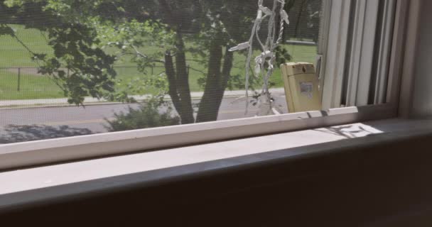 Close-up van een mans hand met het schilderen van een raamkozijn met witte kleur — Stockvideo