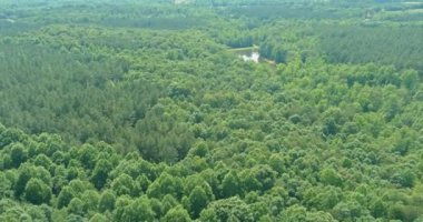 Güney Carolina, Campobello 'daki dağların arasında yaz mevsimi su var.
