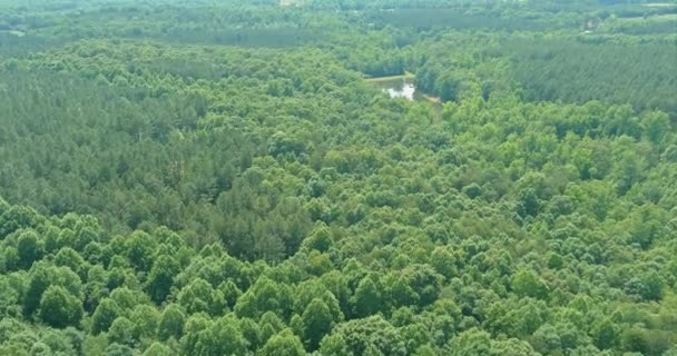 Lesní jezero voda léto příroda mezi horami v Campobello, Jižní Karolína — Stock video