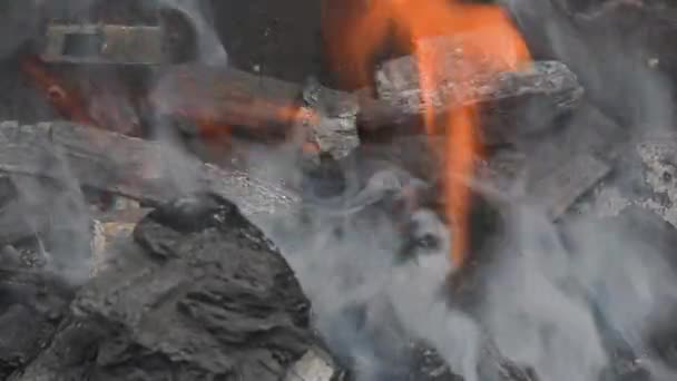 Емблеми, що світяться у палаючому вогні, спалюють вугілля — стокове відео