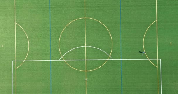 Panoramatický pohled na fotbalové zelené trávy pohled shora — Stock video